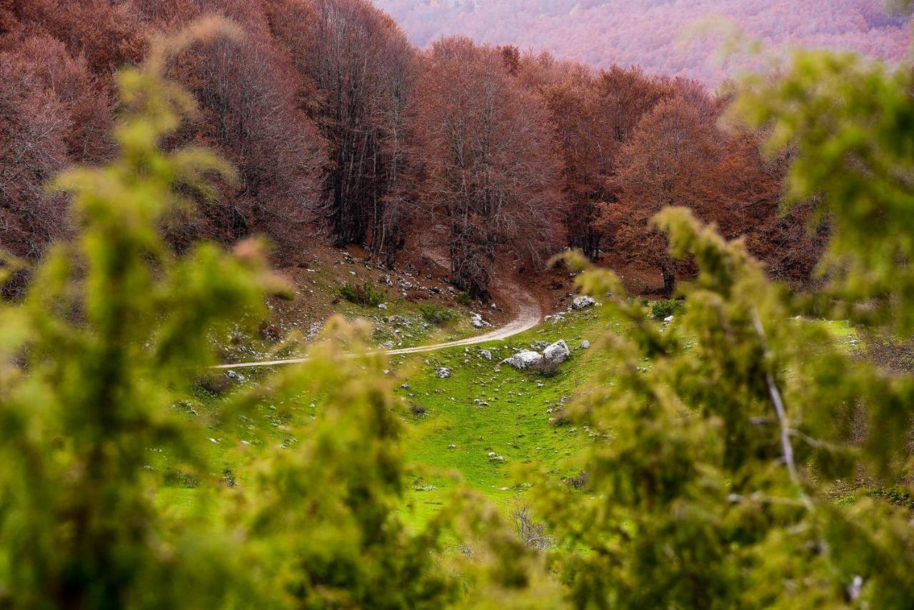 Appartamento A Campo Felice - Treeffe Collimento ภายนอก รูปภาพ